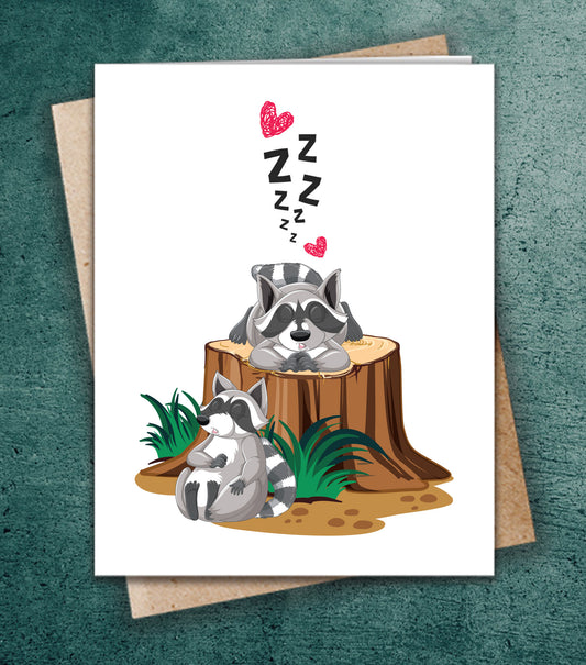 Trash Panda sleeping